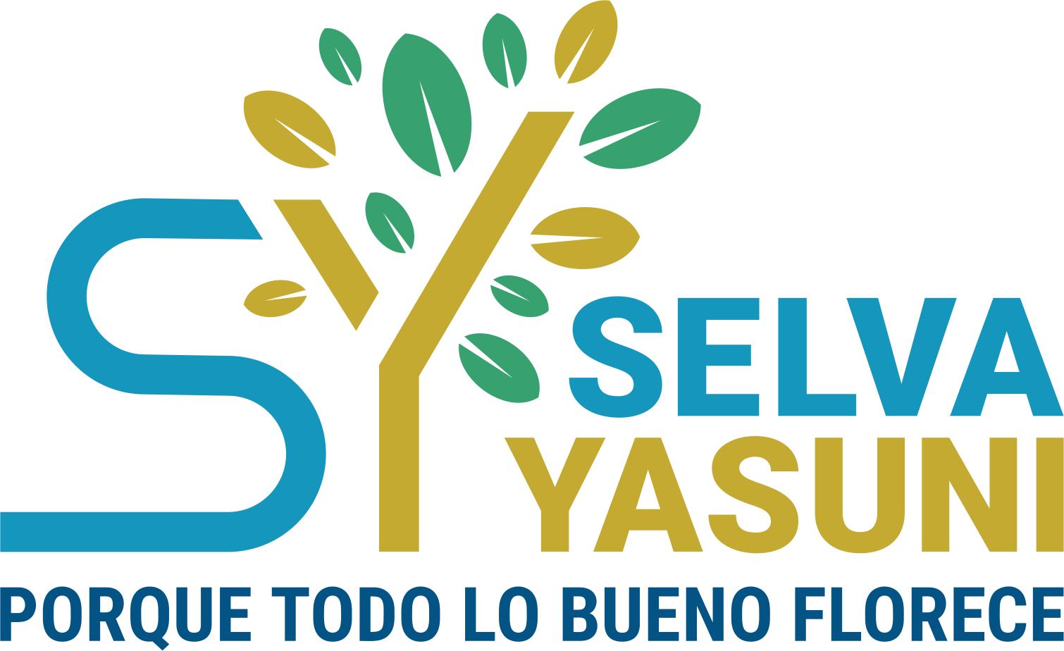 Selva Yasuní